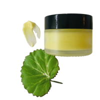 Melissa Lemon Balm - Navoms Beauty