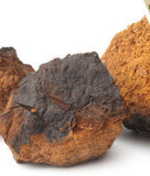 Chaga Cream - Navoms Beauty