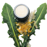 Dandelion Honey Cream - Navoms Beauty