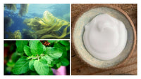 Seaweed Basil Cream - Navoms Beauty